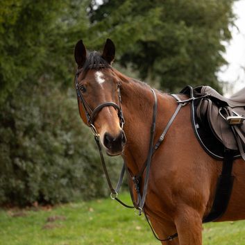 Hy Equestrian Hunting Breastplate - Brown alternative