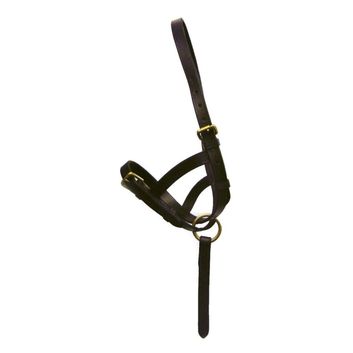 Hy Equestrian Leather Foal Slip - Black