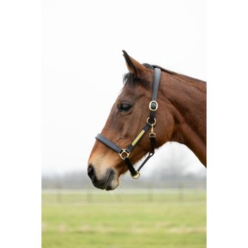 Hy Equestrian Leather Head Collar - Black alternative