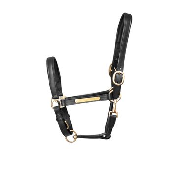 Hy Equestrian Leather Head Collar - Black