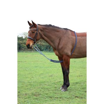 Hy Equestrian Lunging Aid alternative