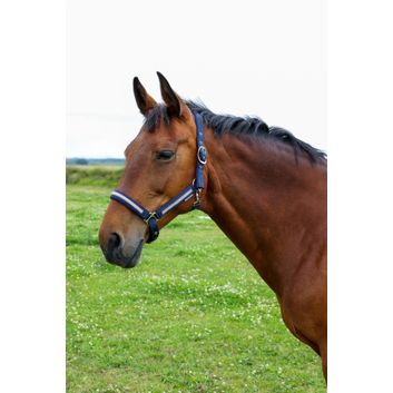 Hy Equestrian Mystic Head Collar - Navy/Rose Dust alternative