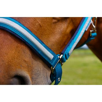 Hy Equestrian Mystic Head Collar - Teal/Silver Dust alternative