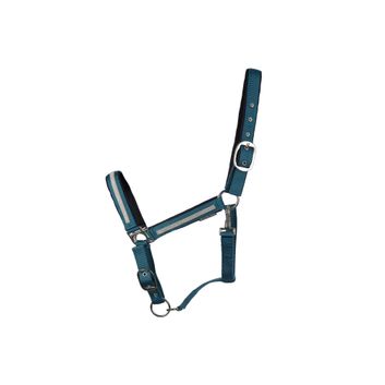 Hy Equestrian Mystic Head Collar - Teal/Silver Dust