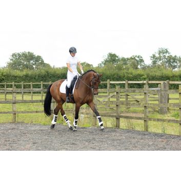 Hy Equestrian Roka Regal Riding Tights White alternative