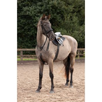 Hy Equestrian Rosciano Rose Gold Browband - Pony alternative