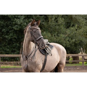 Hy Equestrian Rosciano Rose Gold Stirrup Leathers - Brown/Rose Gold alternative