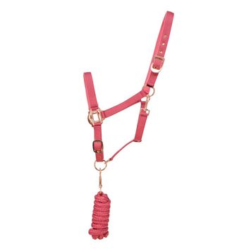 Hy Equestrian Rose Gold Head Collar &amp; Lead Rope - Blush Pink/Rose Gold