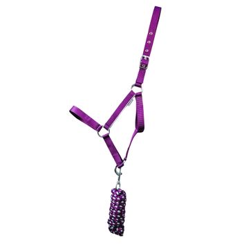 Hy Equestrian Synergy Head Collar &amp; Lead Rope - Fig/Silver