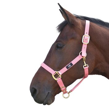 Hy Head Collar - Baby Pink