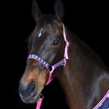 Hy Unicorn Head Collar &amp; Lead Rope - Navy/Pink