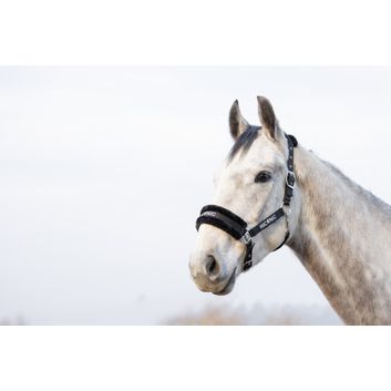 HyCONIC Faux Fur Head Collar &amp; Lead Rope - Black alternative