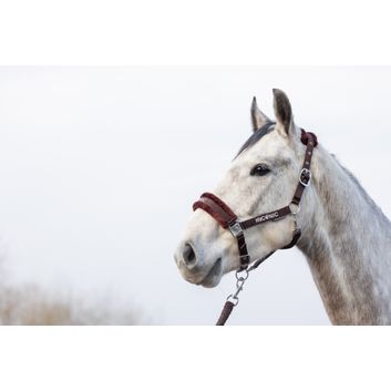 HyCONIC Faux Fur Head Collar &amp; Lead Rope - Brown alternative
