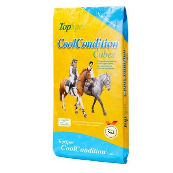 TopSpec CoolCondition Cubes