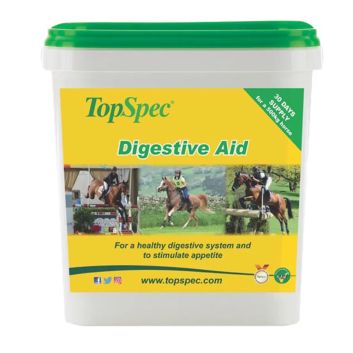 TopSpec Digestive Aid