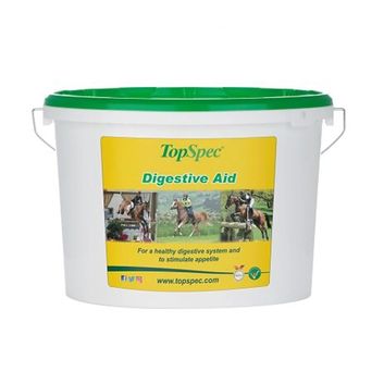 TopSpec Digestive Aid alternative
