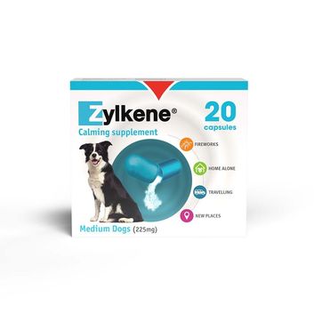 Zylkene Behavioural Support 20 caps alternative