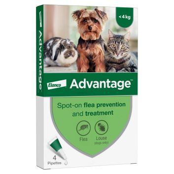 Advantage Spot-On Solution - 40: For Small Cats, Small Dogs &amp; Pet Rabbits