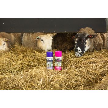 Agrimark Marker Spray - Pink alternative