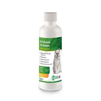 Aqueos Anti-Bacterial Cat Shampoo