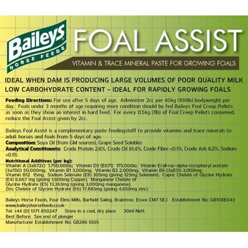 Baileys Foal Assist Syringe alternative