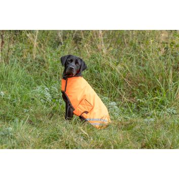 Benji &amp; Flo Reflector Waterproof Dog Coat by Hy Equestrian - Orange alternative