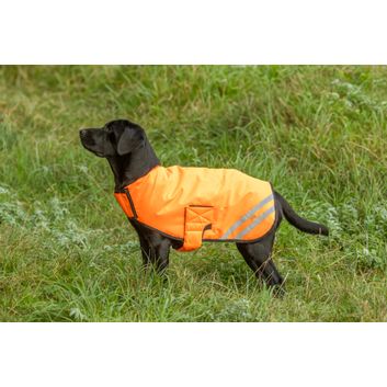 Benji &amp; Flo Reflector Waterproof Dog Coat by Hy Equestrian - Orange