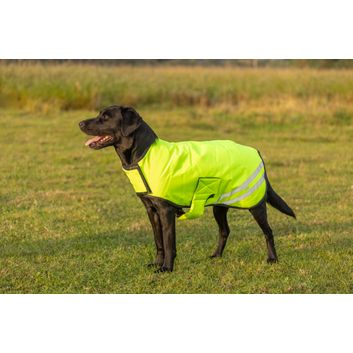 Benji &amp; Flo Reflector Waterproof Dog Coat by Hy Equestrian - Yellow