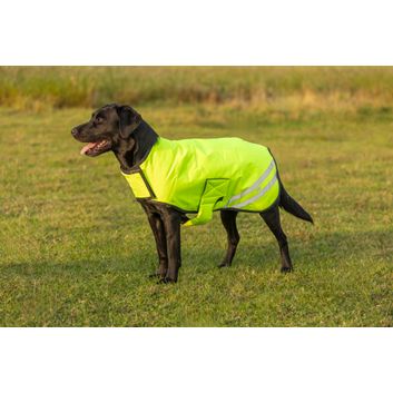 Benji &amp; Flo Reflector Waterproof Dog Coat by Hy Equestrian - Yellow alternative