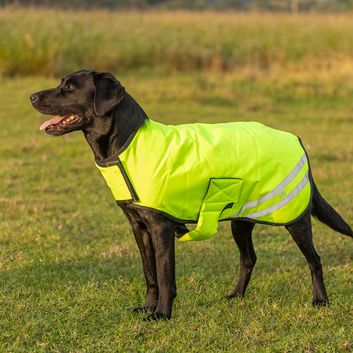 Benji &amp; Flo Reflector Waterproof Dog Coat by Hy Equestrian - Yellow