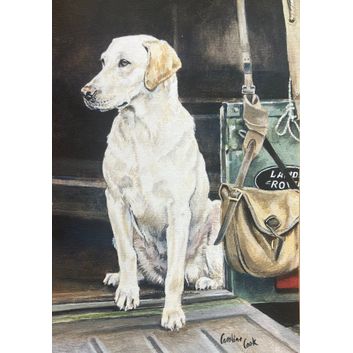 Caroline Cook Equestrian Cards