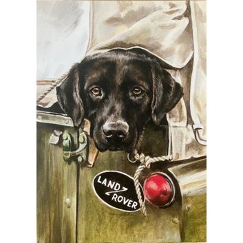 Caroline Cook Equestrian Cards alternative