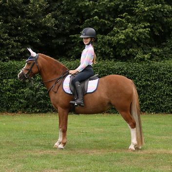 Dazzling Dream Fly Veil by Little Rider - Navy/Pastel alternative