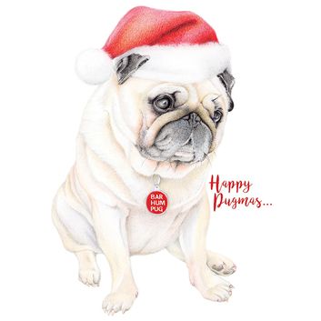 Deckled Edge Christmas Card - Rosa