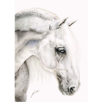 Deckled Edge Eureka! A3 Print - Flea Bitten Grey