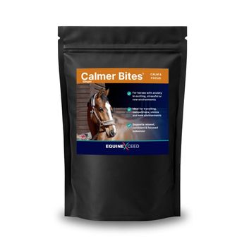 Equine Exceed Calmer Bites - Ginger alternative