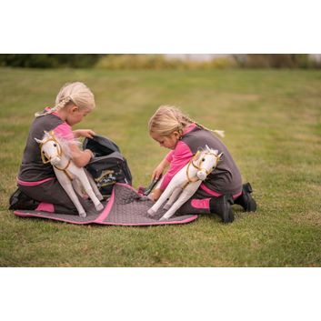 Equine Exceed Gastro - Step 2 alternative