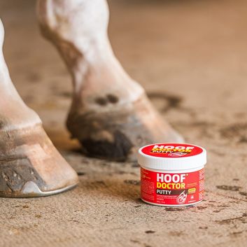 Equine One Hoof Doctor Putty alternative