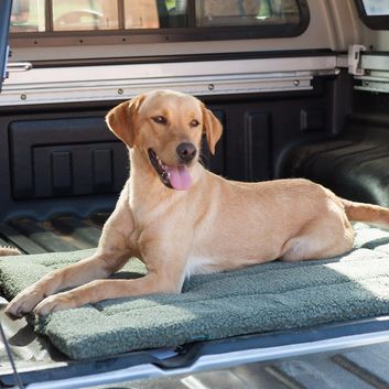 House of Paws Berber Crate Mat - Moss alternative