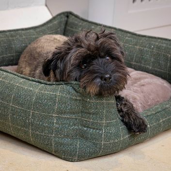 House of Paws Moss Tweed Rectangle Bed - Green