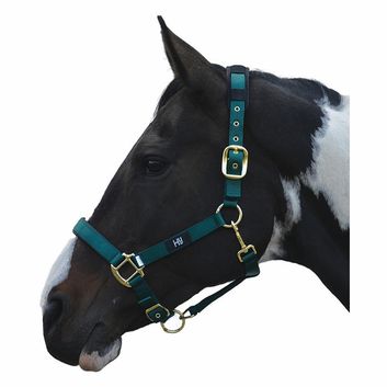 Hy Equestrian Deluxe Padded Head Collar - Bright Blue