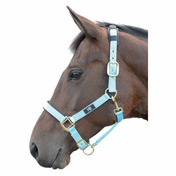 Hy Equestrian Deluxe Padded Head Collar - Bright Blue alternative