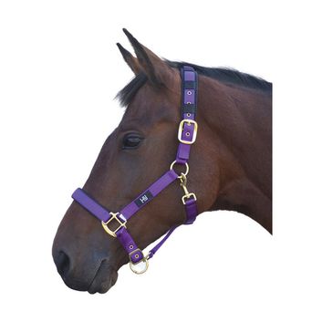 Hy Equestrian Deluxe Padded Head Collar - Purple