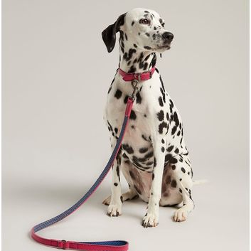 Joules Leather Dog Lead - Pink