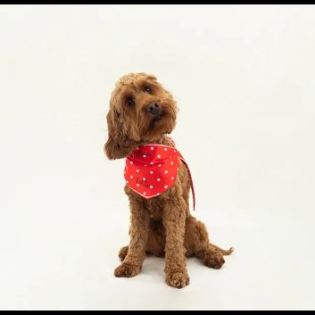 Joules Neckerchief