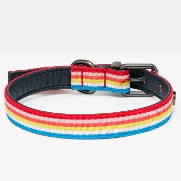 Joules Rainbow Stripe Dog Collar alternative