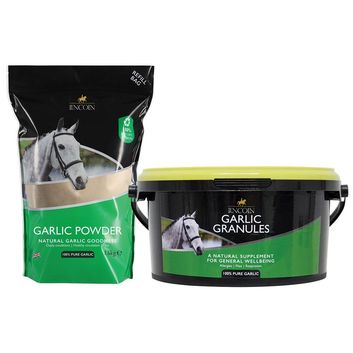 Lincoln August 2025 Offer - Bundle Deal Lincoln Garlic Powder Refill Pouch &amp; Bucket