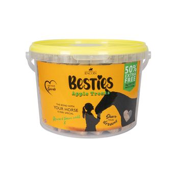Lincoln Besties alternative