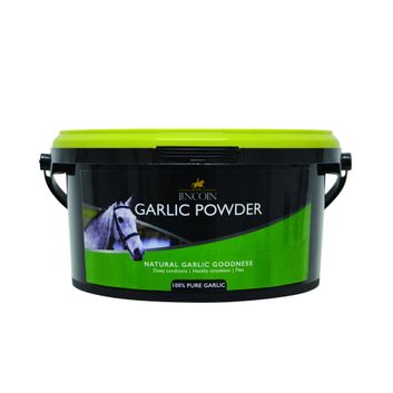 Lincoln Garlic Powder Tub alternative