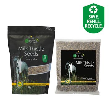 Lincoln Herbs Milk Thistle Seeds Refill Pouch - 1kg